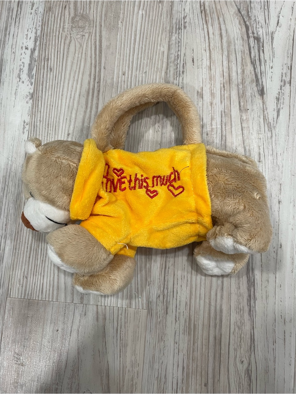 Plush Small Bear Toy Tote
